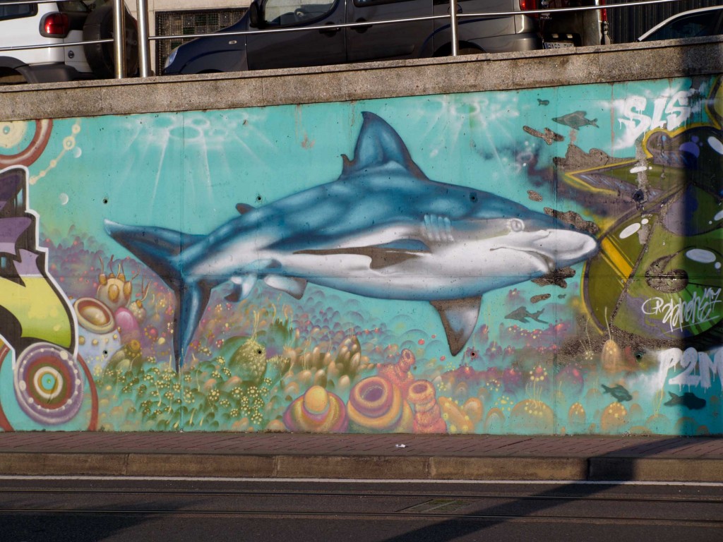 shark arte urbano galicia Digerible