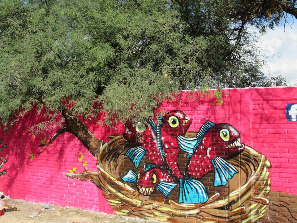 Ozono Art, Arte urbano, México, digerible