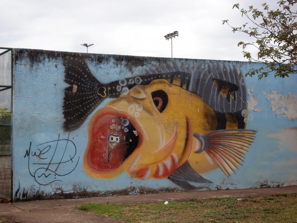 Arte urbano Brasil, digerible