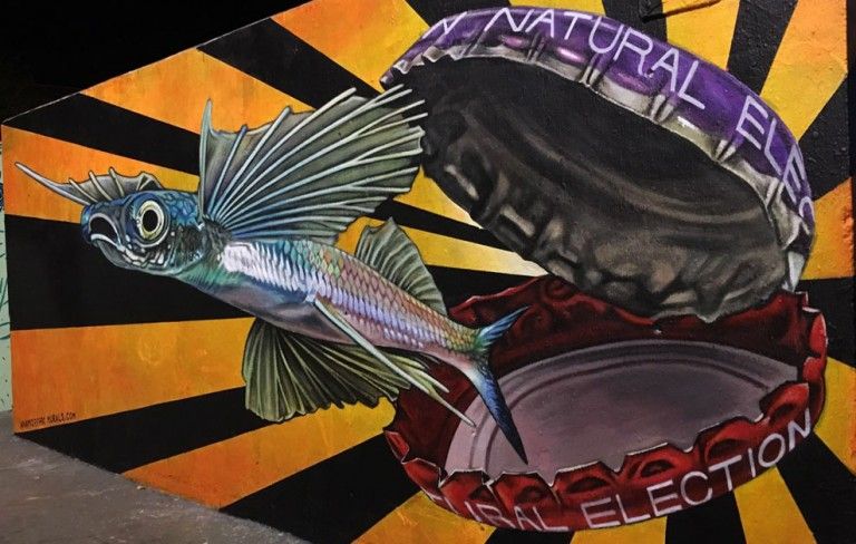 Anamorphic Murals arte urbano en Barcelona