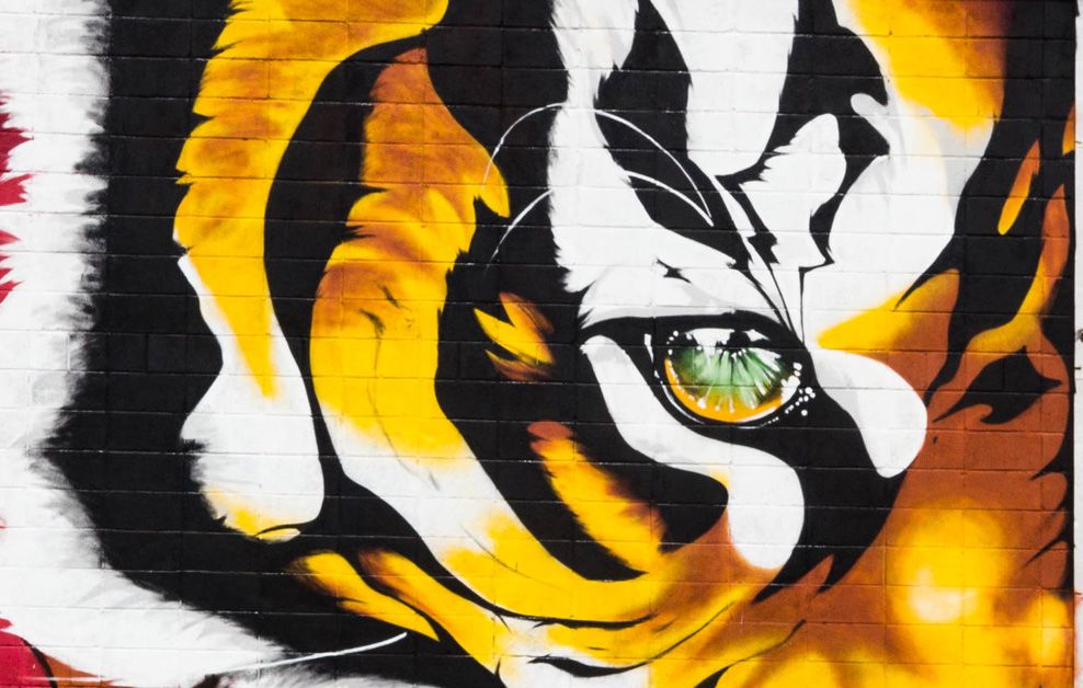 arte urbano Francesco Pinzón