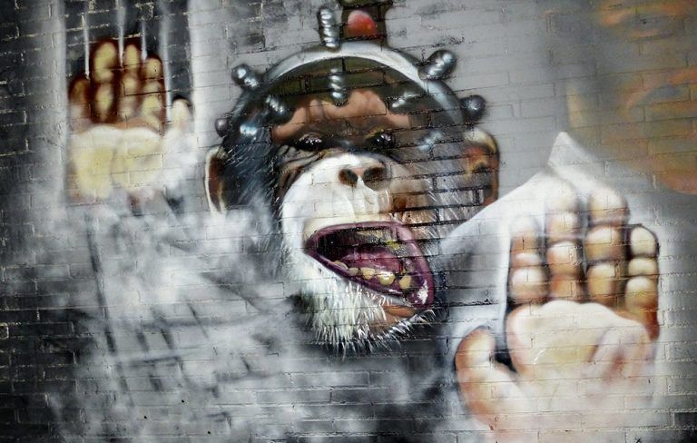 Arte urbano Berok y Dase
