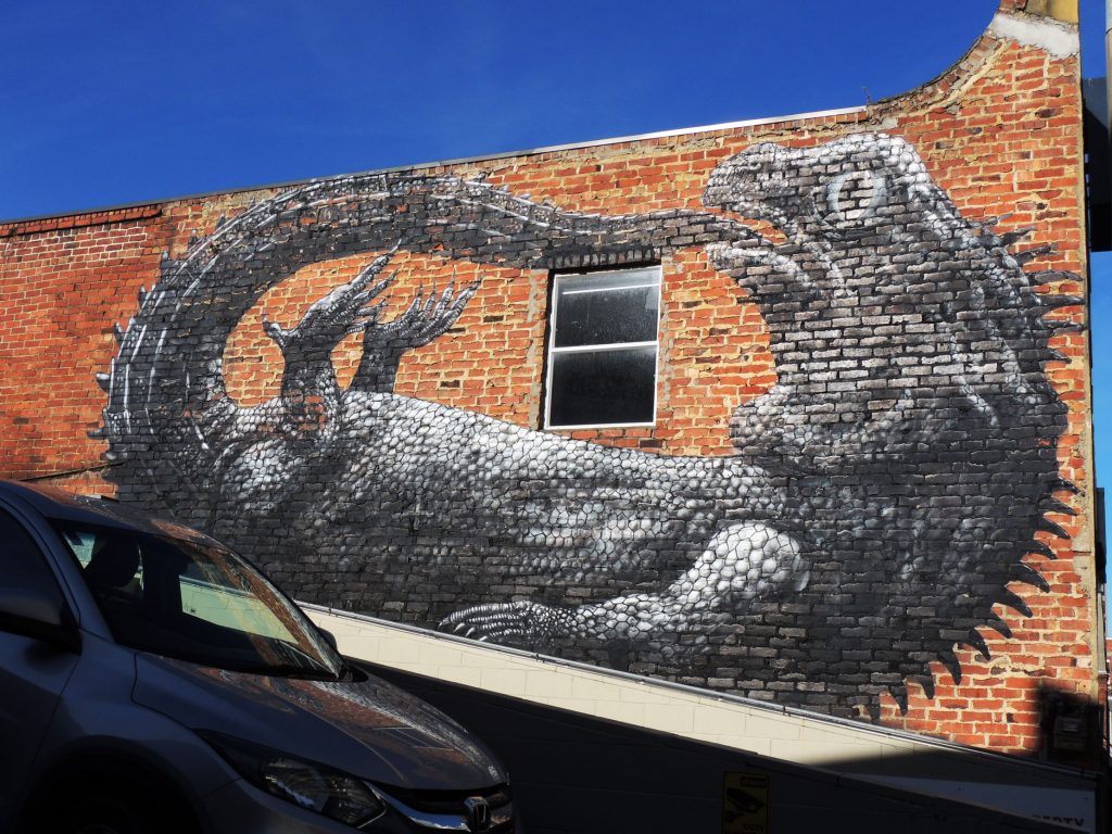 Arte urbano, ROA, Dunedin, New Zealand