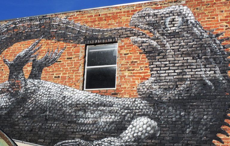 Roa arte urbano en Dunedin Nueva Zelanda