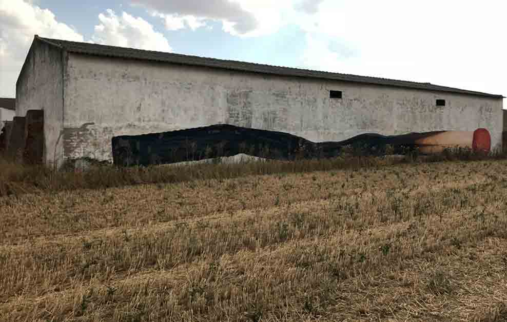 Ampparito arte urbano en Castilla y Léon