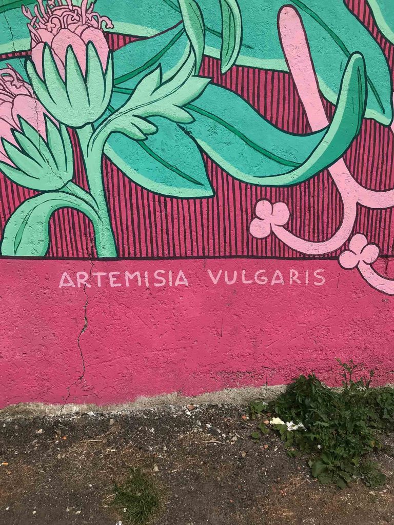 Doa Oa, arte urbano en Carballo, Galicia
