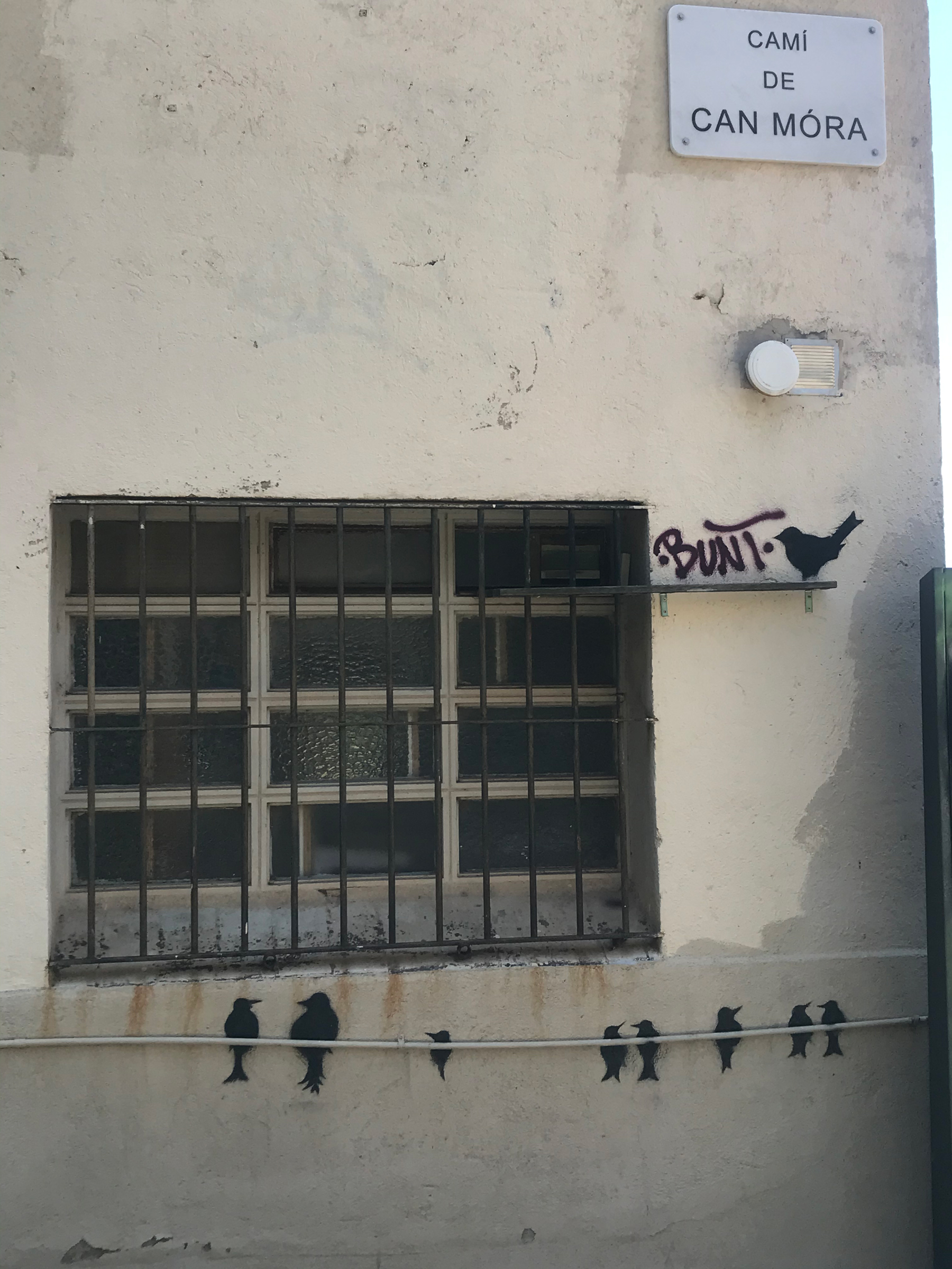 Arte urbano pájaros Barcelona