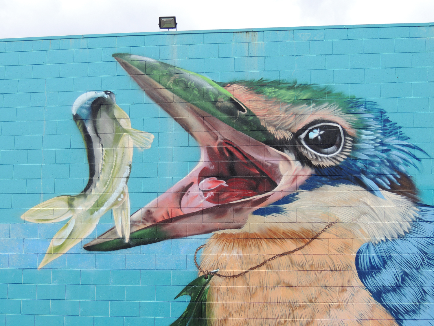 Arte urbano en Nueva Zelanda de KORYU88 ART