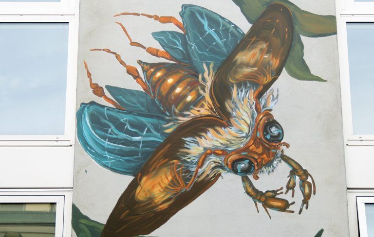 streetart Cinzah new zealand