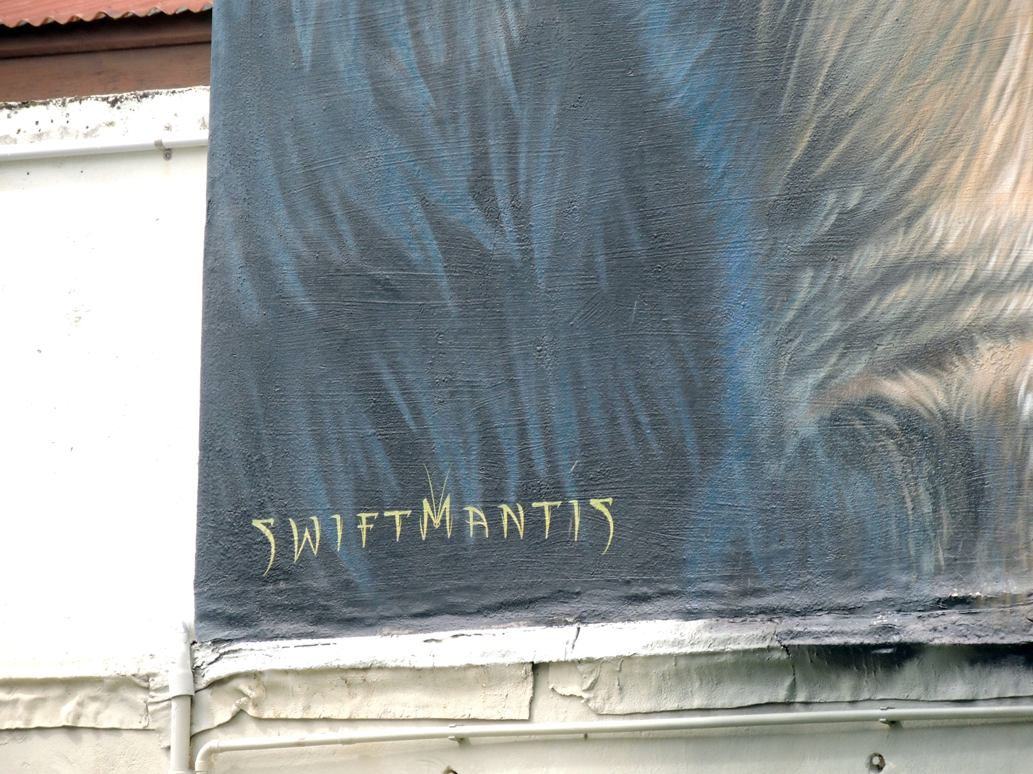 arte urbano en New Zealand, Swiftmantis