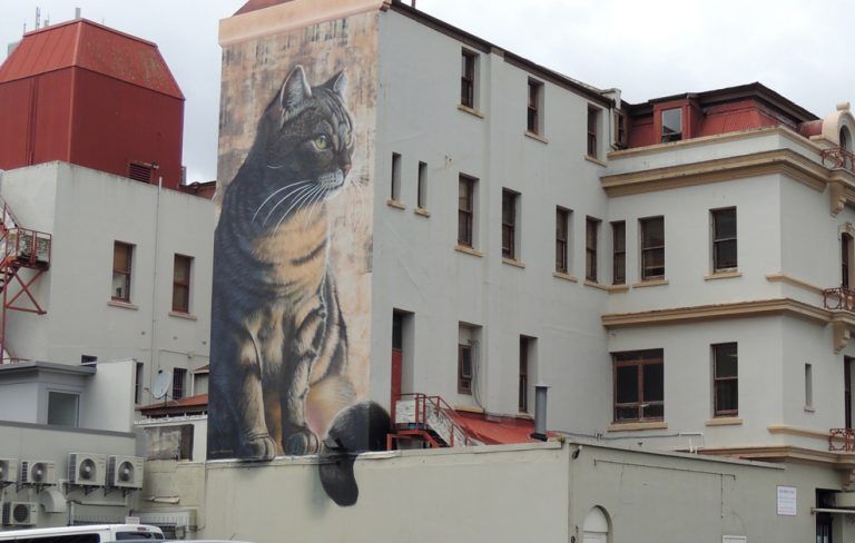 arte urbano en New Zealand, Swiftmantis