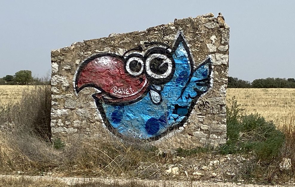 arte urbano Freebyrds Barcelona