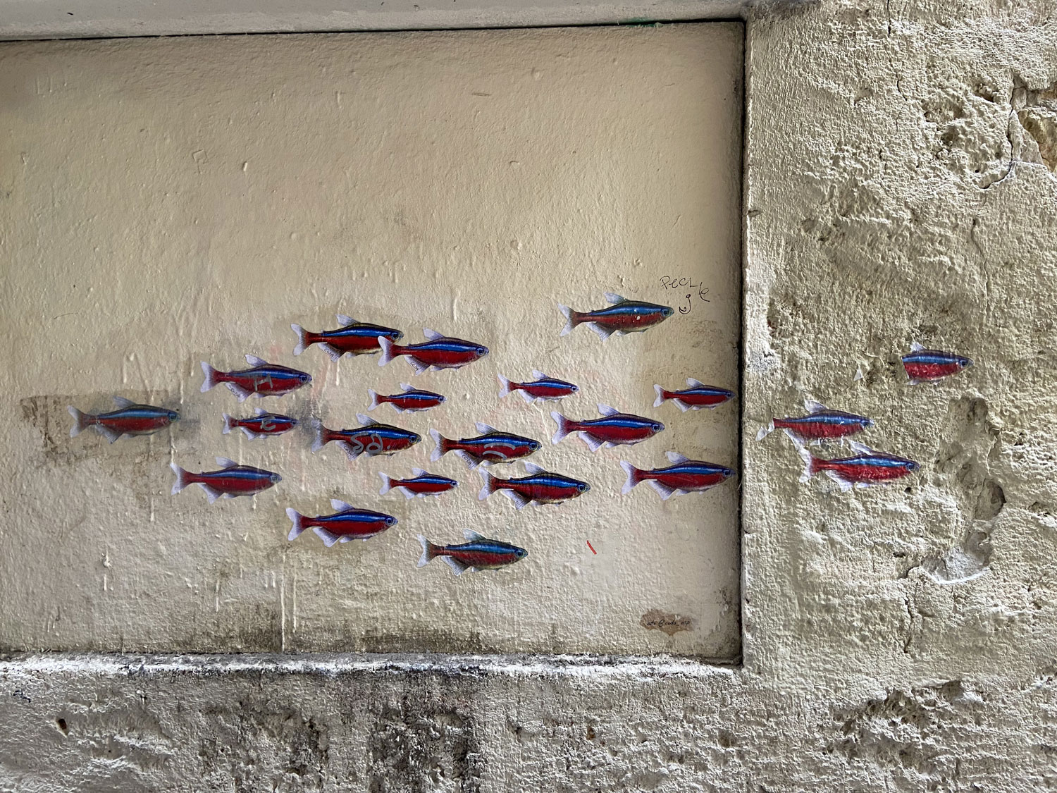 arte urbano Coda Montpellier Francia