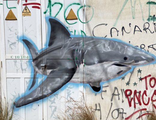 Arte urbano Las Palmas Gran Canarias Tiburón