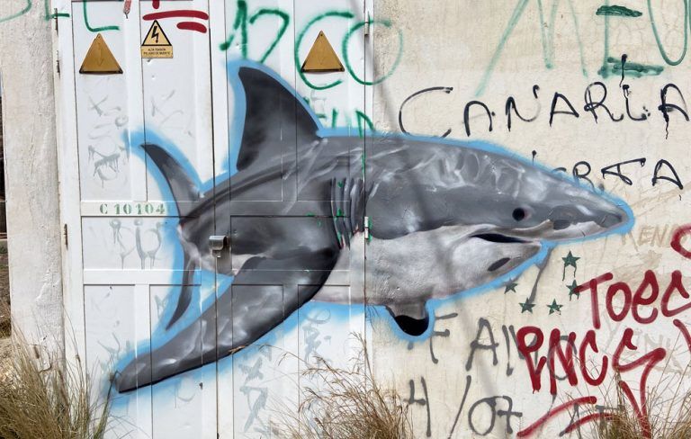 Arte urbano Las Palmas Gran Canarias Tiburón