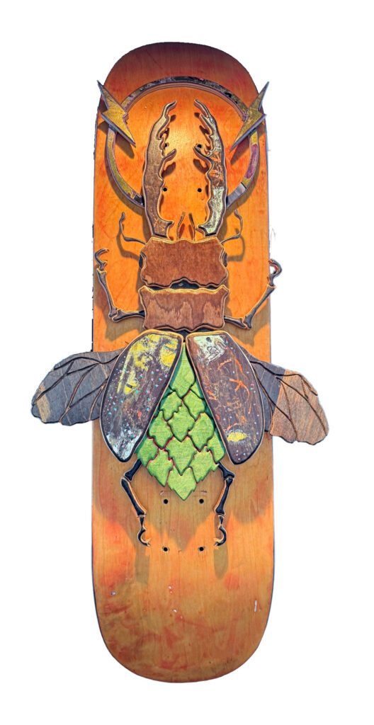 Lufke digerible Skate ART 6 la Bòbila