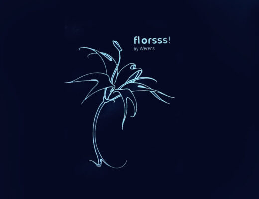 Florsss! de Werens y el arte urbano