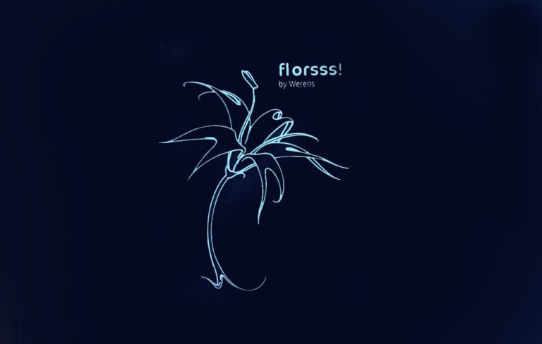 Florsss! de Werens y el arte urbano