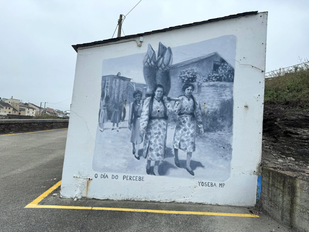 Yoseba MP mural percebeiras Rinlo Galicia