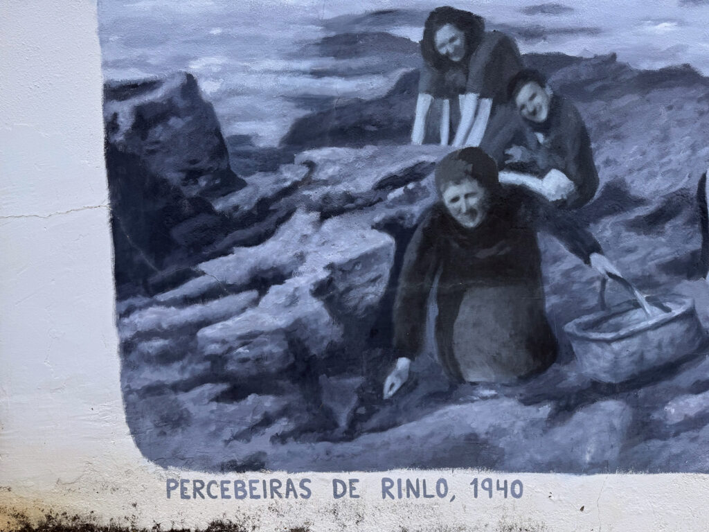 Yoseba Mural percebeiras Rinlo Ribadeo Galicia
