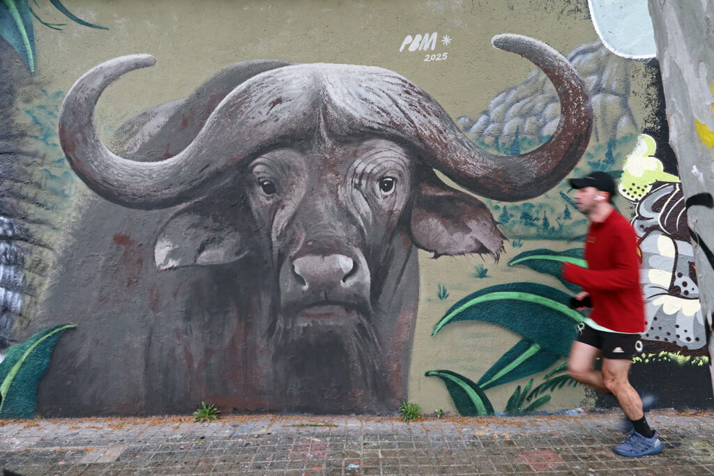 Pere Blanco Molina – Arte urbano en Barcelona