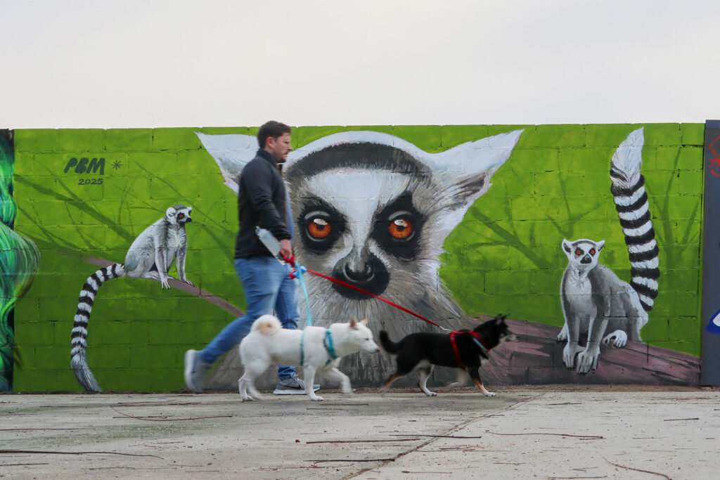 Pere Blanco Molina – Arte urbano en Barcelona